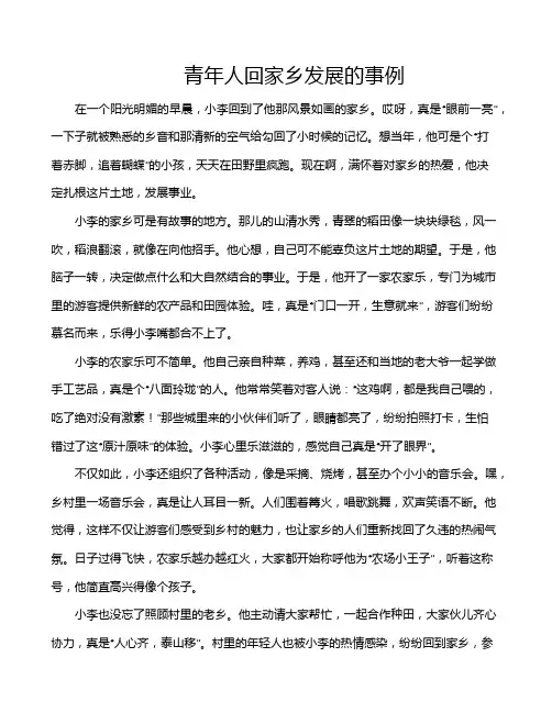 青年人回家乡发展的事例