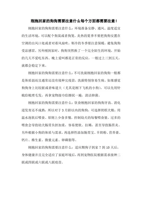 刚抱回家的狗狗需要注意什么每个方面都需要注意!