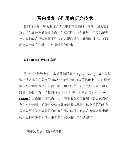 蛋白质相互作用的研究技术