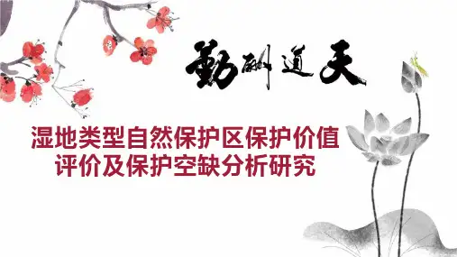 湿地类型自然保护区保护价值评价及保护空缺分析研究