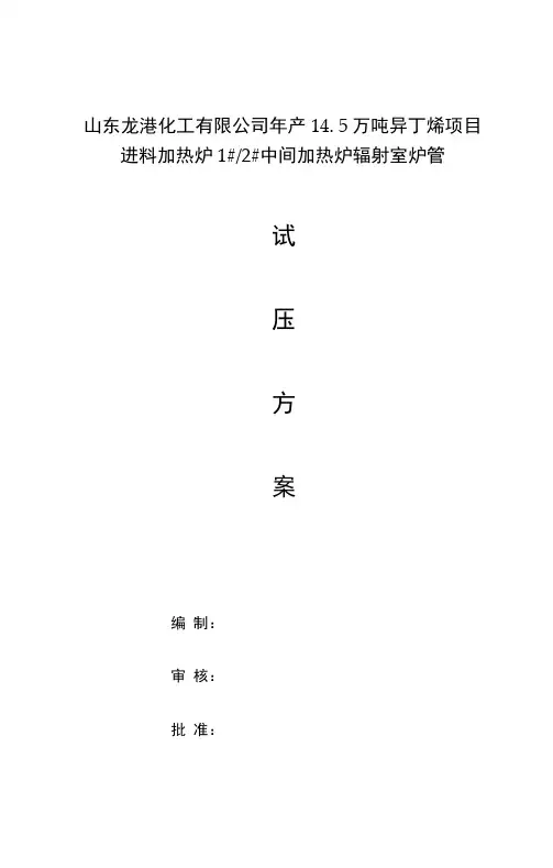炉管试压施工方案概要