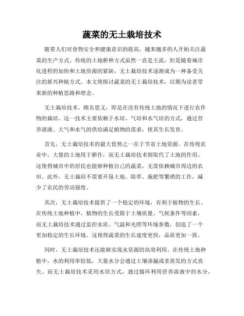 蔬菜的无土栽培技术