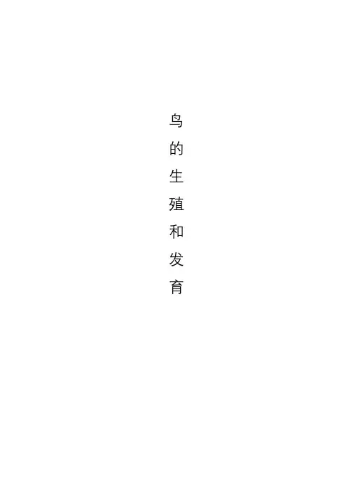 教案-《鸟的生殖和发育》