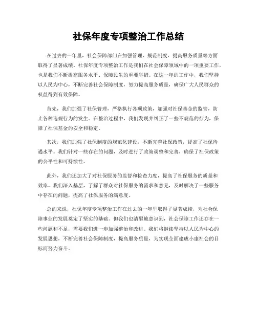 社保年度专项整治工作总结