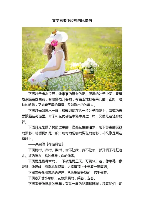 文学名著中经典的比喻句
