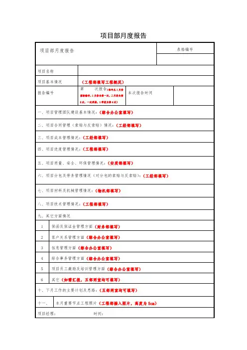 项目管理报告(格式)