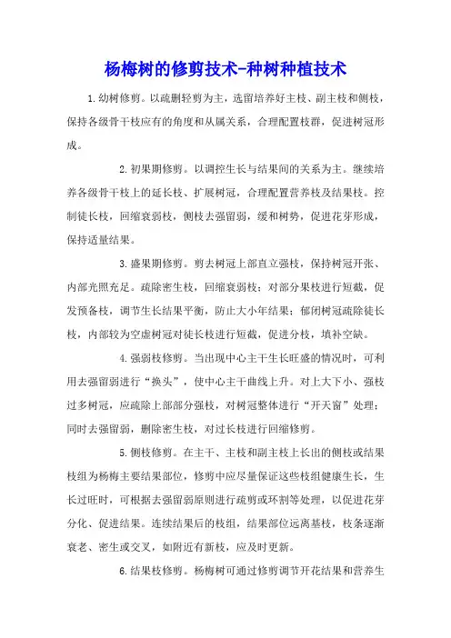 杨梅树的修剪技术 - 种树种植技术