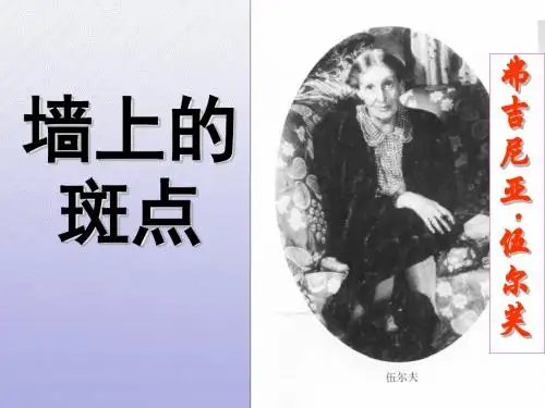 《墙上的斑点》