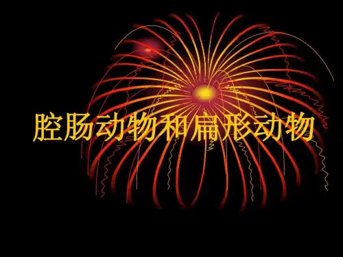 腔肠动物和扁形动物