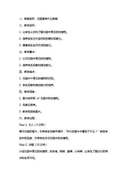 花园里有什么教案