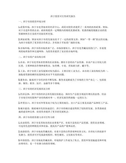 西宁投资可行性研究报告