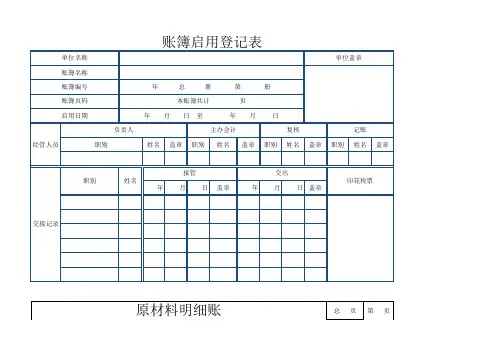 明细账模板(数量金额式)