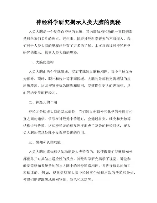 神经科学研究揭示人类大脑的奥秘