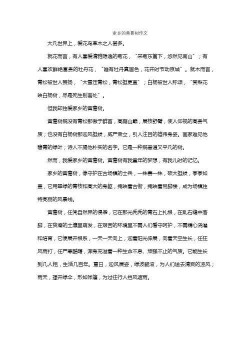 家乡的黄葛树作文