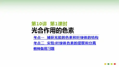 高三生物一轮复习：第10讲第1课时 光合作用的色素