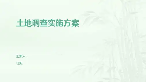 土地调查实施方案