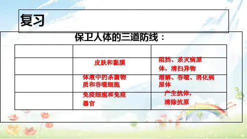新人教版八年级生物下册用药与急救ppt课件-精选课件