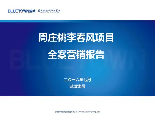 周庄桃李春风项目全案营销方案 含 营销推广方案 