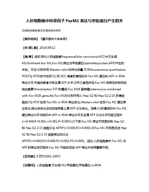 人肝细胞癌中转录因子FoxM1表达与甲胎蛋白产生相关