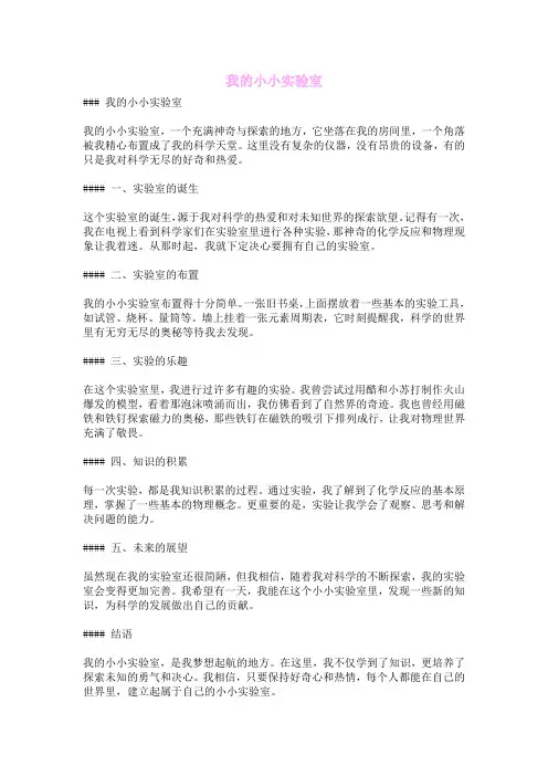 我的小小实验室