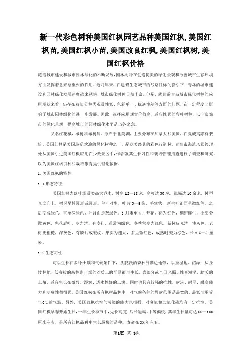 新一代彩色树种美国红枫园艺品种美国红枫,美国红枫苗,美国红枫小苗,美国改良红枫,美国红枫树,美国红枫价格