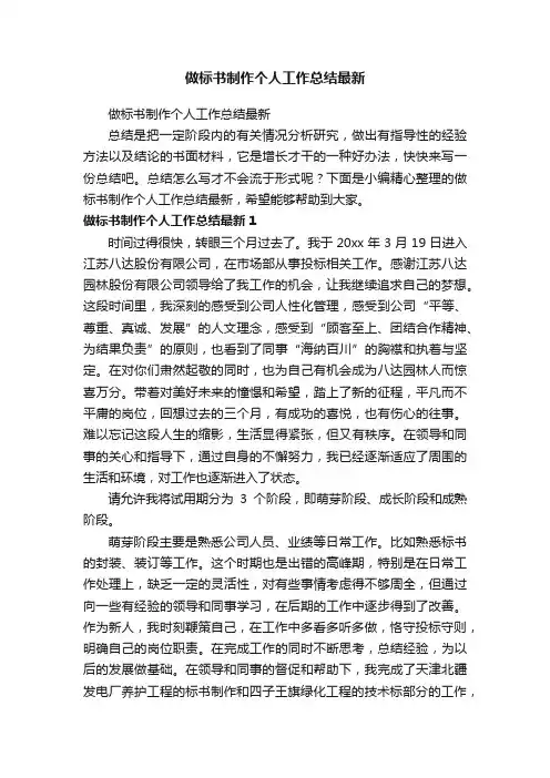 做标书制作个人工作总结最新