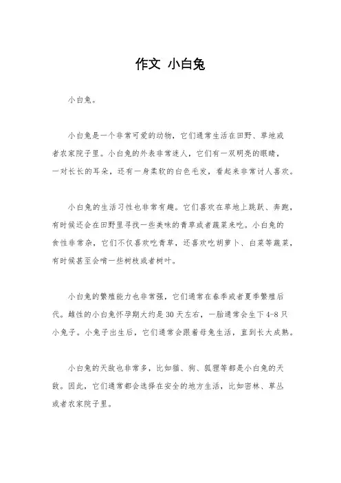 作文  小白兔