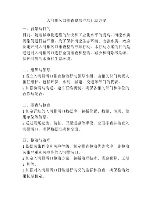 入河排污口排查整治专项行动方案