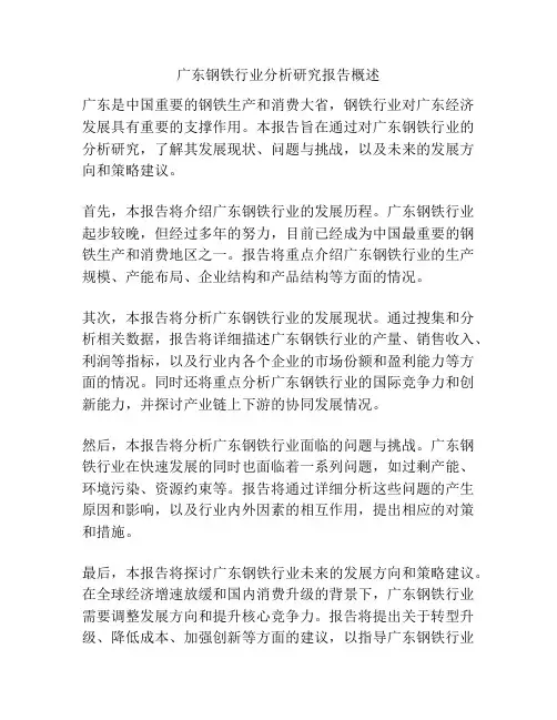 广东钢铁行业分析研究报告概述