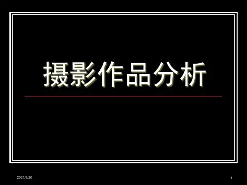 摄影作品分析