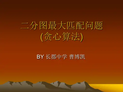 二分图最大匹配问题(贪心算法)