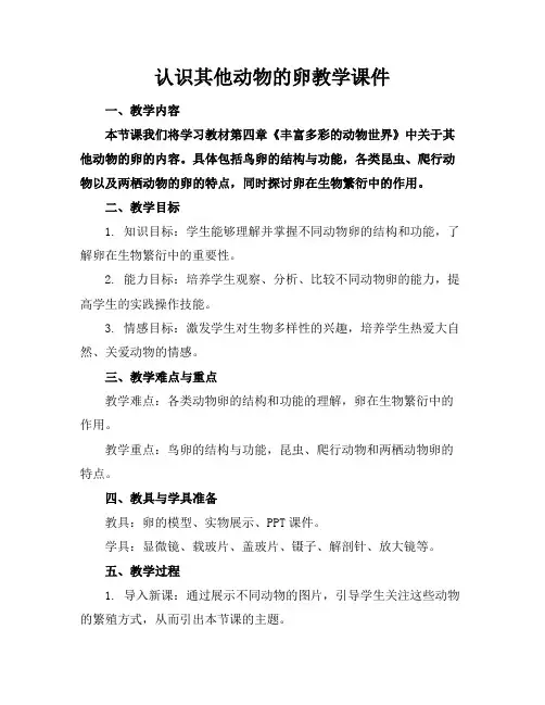 认识其他动物的卵教学课件