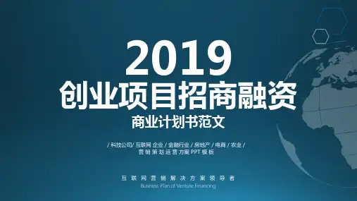 互联网行业招商策划方案ppt