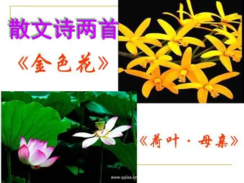 散文诗两首
