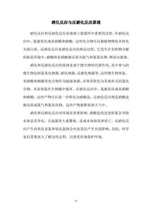 硝化反应与反硝化反应原理