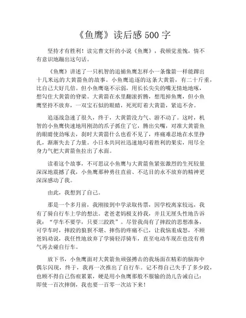 《鱼鹰》读后感500字