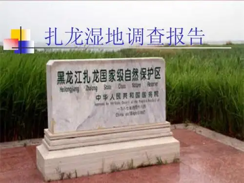 扎龙湿地调查报告