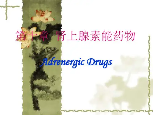 受体激动剂