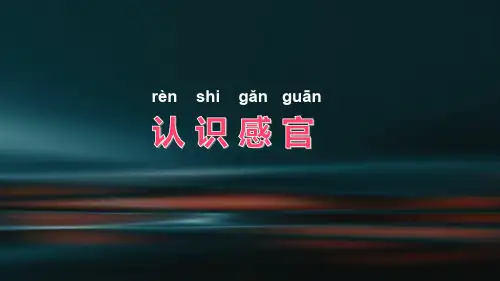义务教育小学科学 认识感官 名师公开课教学PPT课件