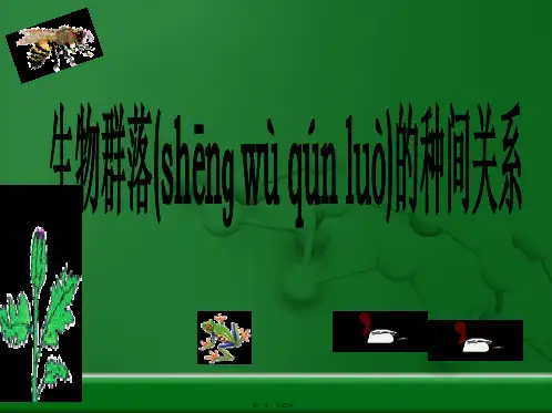 群落的种间关系课件