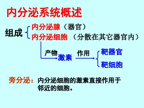 内分泌系统课件PPT课件