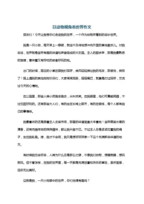 以动物视角看世界作文