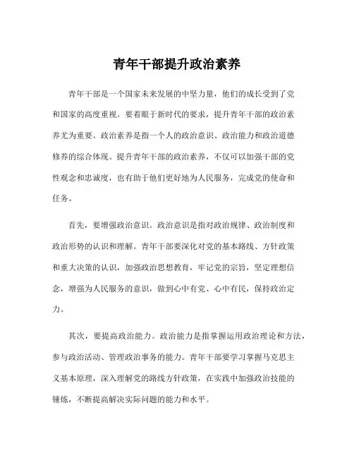 青年干部提升政治素养