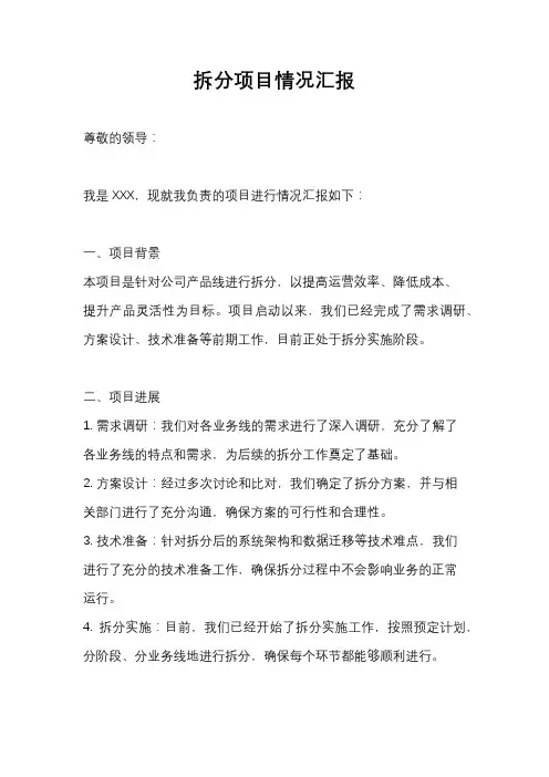 拆分项目情况汇报