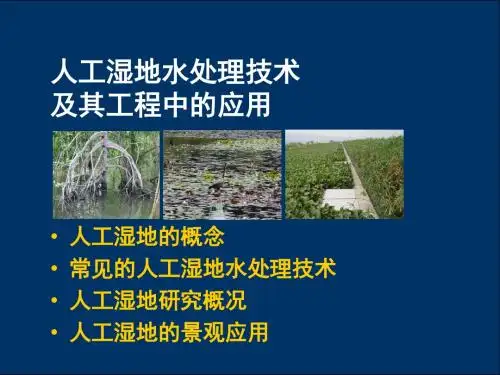 人工湿地水处理技术及其工程中的应用PPT课件