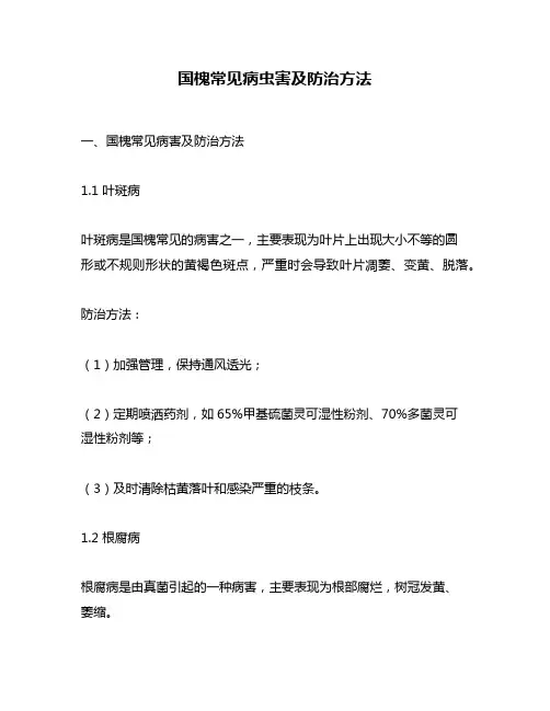 国槐常见病虫害及防治方法