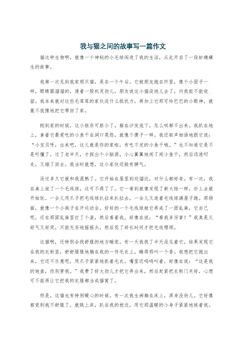 我与猫之间的故事写一篇作文