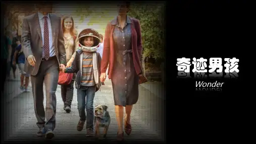 奇迹男孩PPT