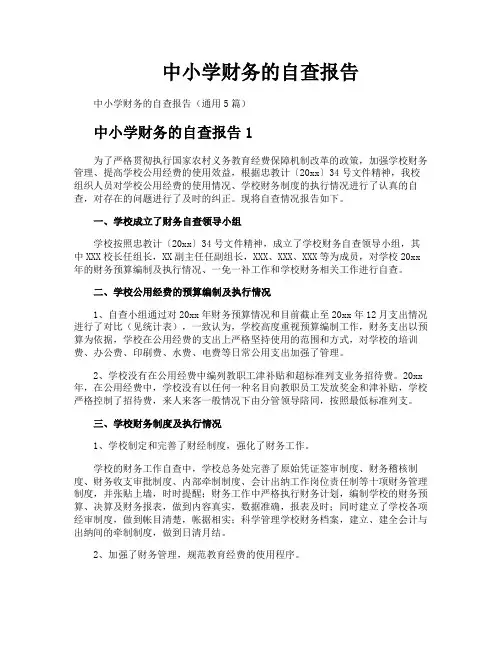 中小学财务的自查报告