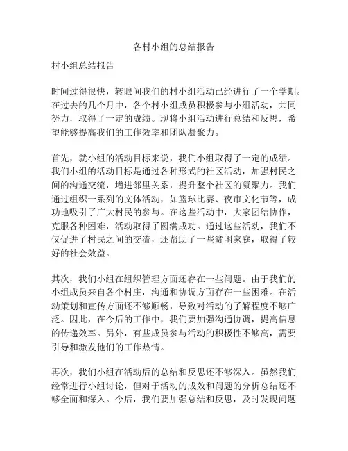 各村小组的总结报告